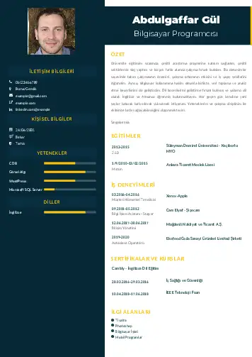 Bilgisayar Programcısı CV Örnekleri cv indir
